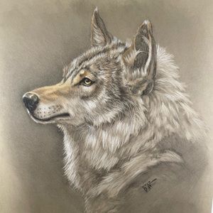 🤩 Incredible Wolf Original Art 💕